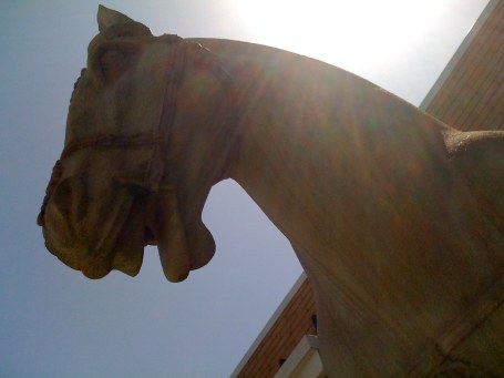 Faux-terracotta horse, PF Chang's