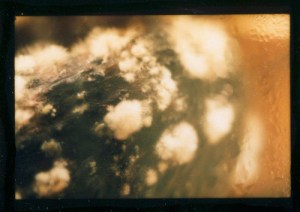 Moldy Avocado, from the series Fruits Uneaten, Bill Basquin, 2009, 20"x30",c-print