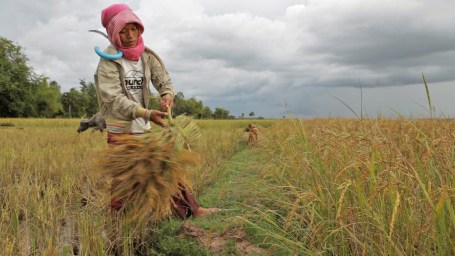 Globalization and destruction, A River Changes Course, 2013
